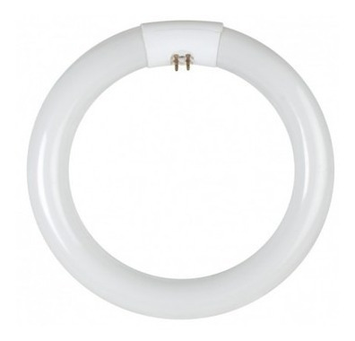 FLUOR CIRCULAR 22W ECON: