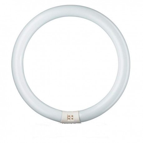 FLUOR CIRCULAR 32W LUMISTAR|+0