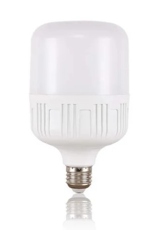 [037285] BOMBI INDUST VERT LED  30W E27 6500K: