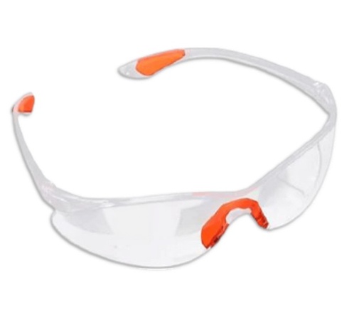 [010270] LENTE SEGUR ECONOMICO TRANSP: