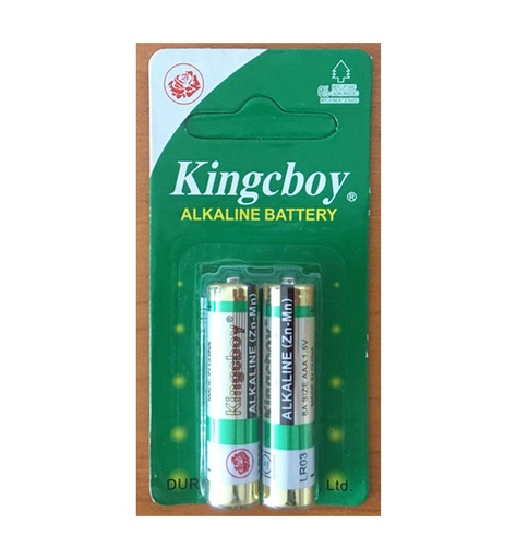 [123000] PILA ALCALINA AA x 2 KINGCBOY: